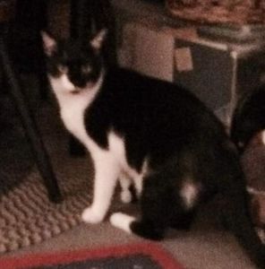 Meet your Posher, Carole